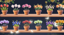Achievements: Blossom Mania - Sort Puzzle