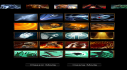 Achievements: D2 Puzzle
