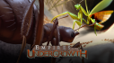 Achievements: Empires of the Undergrowth