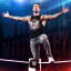 Termine a sequência na WrestleMania 29 no Showcase.