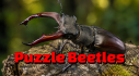Achievements: Puzzle Beetles