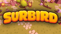 Achievements: Surbird