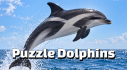 Achievements: Puzzle Dolphins
