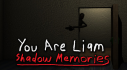 Achievements: You Are Liam: Shadow Memories
