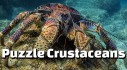 Achievements: Puzzle Crustaceans