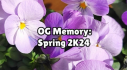 Achievements: OG Memory: Spring 2K24