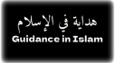 Achievements: Guidance in Islam