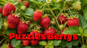 Achievements: Puzzles Berrys