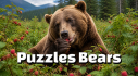 Achievements: Puzzles Bears