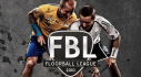 Achievements: Floorball League 2010