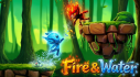 Achievements: Fire and Water: Spirits of the Forest